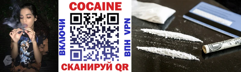 Купить закладки  Архангельск  Cocaine FishScale 