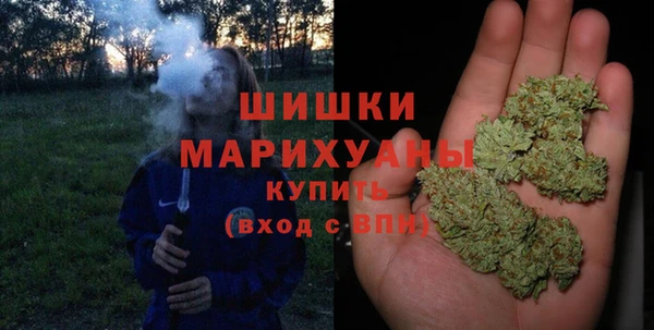 2c-b Инта