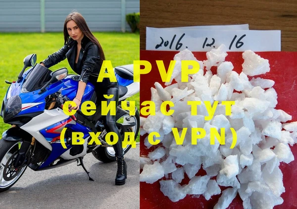индика Зеленодольск