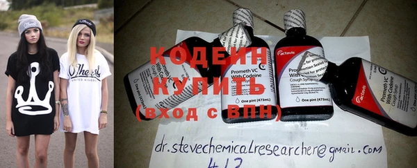 индика Зеленодольск