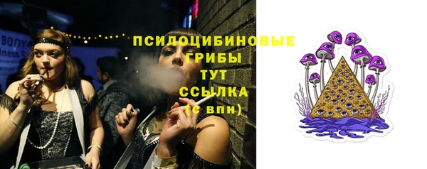 2c-b Инта