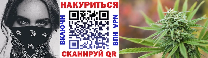 Шишки марихуана сатива  Купить закладки  Архангельск 